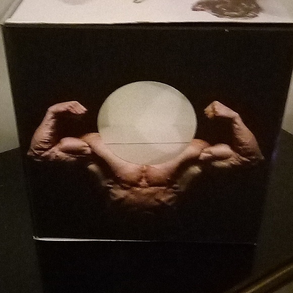 Kitty Photo Box! - Picture 6 of 10